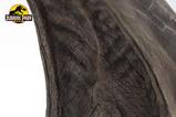 11-Jurassic-Park-Estatua-TRex-Foot-Claw-28-cm.jpg