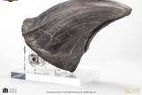 15-Jurassic-Park-Estatua-TRex-Foot-Claw-28-cm.jpg