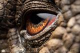 07-Jurassic-Park-Estatua-Triceratops-Eye-Prop-Reproduction-35-cm.jpg