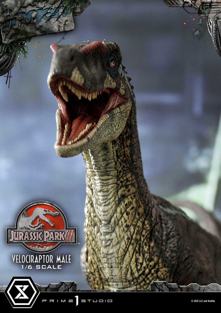 Autocollant Vélociraptor 10 Cm – Déco Créative – Pour Voiture, Ordinateur, Frigo – Cadeau Original