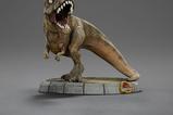 10-jurassic-park-minifigura-mini-co-pvc-trex-illusion-15-cm.jpg