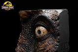 08-Jurassic-Park-Rplica-ScreenUsed-SWS-TRex-Eye-32-cm.jpg