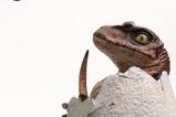 07-Jurassic-Park-Rplica-Velociraptor-Hatching-Egg-24-cm.jpg