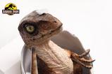 13-Jurassic-Park-Rplica-Velociraptor-Hatching-Egg-24-cm.jpg