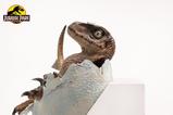 14-Jurassic-Park-Rplica-Velociraptor-Hatching-Egg-24-cm.jpg