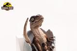 16-Jurassic-Park-Rplica-Velociraptor-Hatching-Egg-24-cm.jpg