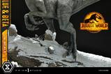 07-Jurassic-World-Dominion-Estatua-Legacy-Museum-Collection-16-Blue--Beta-Bonu.jpg
