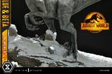 07-Jurassic-World-Dominion-Estatua-Legacy-Museum-Collection-16-Blue--Beta-Bonu.jpg