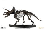 02-Jurassic-World-ECC-Elite-Creature-Line-Estatua-112-Triceratops-Fossil-Skeleto.jpg