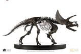 03-Jurassic-World-ECC-Elite-Creature-Line-Estatua-112-Triceratops-Fossil-Skeleto.jpg