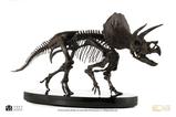 05-Jurassic-World-ECC-Elite-Creature-Line-Estatua-112-Triceratops-Fossil-Skeleto.jpg