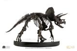 08-Jurassic-World-ECC-Elite-Creature-Line-Estatua-112-Triceratops-Fossil-Skeleto.jpg