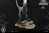02-Jurassic-World-Film-Prime-Collectible-Figures-Estatua-110-Blue-17-cm.jpg