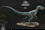 03-Jurassic-World-Film-Prime-Collectible-Figures-Estatua-110-Blue-17-cm.jpg