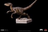 07-Jurassic-World-Icons-Estatua-Velociraptor-B-9-cm.jpg