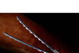 04-katanas-nichirin-inosuke-hashibira.jpg