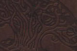 01-Libro-Guillermo-del-Toro-Cabinet-of-Curiosities.jpg