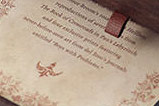 02-Libro-Guillermo-del-Toro-Cabinet-of-Curiosities.jpg