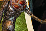 04-Libro-Guillermo-del-Toro-Cabinet-of-Curiosities.jpg