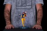 14-Marvel-Estatua-110-Art-Scale-XMen97-Jean-Grey-20-cm.jpg