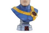 01-Marvel-Legends-in-3D-Busto-12-Cyclops-25-cm.jpg