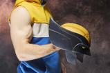 08-mascara-premium-wolverine.jpg
