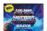 02-Masters-of-the-Universe-Origins-Figura-Cartoon-Collection-Skeletor-14-cm.jpg