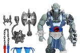 07-Masters-of-the-Universe-x-ThunderCats-Figura-Panthro-14-cm.jpg