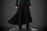 14-Matrix-Estatua-Premium-14-Neo-20th-Anniversary-Edition-53-cm.jpg