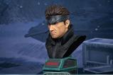 14-Metal-Gear-Solid-Busto-Grand-Scale-Solid-Snake-31-cm.jpg
