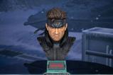 19-Metal-Gear-Solid-Busto-Grand-Scale-Solid-Snake-31-cm.jpg