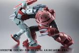 05-Mobile-Suit-Gundam-Figura-Robot-Spirits-SIDE-MS-MSM07S-ZGok-Chars-Custom.jpg