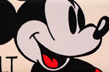 01-Monedero-Mickey-Mouse-C.jpg