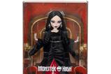 08-muneca-morticia-wednesday-monster-high.jpg