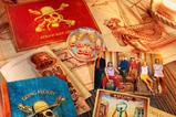 19-One-Piece-Caja-de-regalo-Kit-de-Reclutamiento.jpg