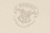 03-pack-cuaderno-boligrafo-Harry-Potter.jpg