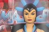 03-Pack-Shadow-Weaver-y-Evil-Lyn.jpg