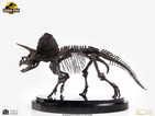03-parque-jurasico-estatua-1-24-triceratops-fossil-skelet-0693338-heo-088b5828.jpg