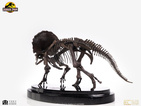 04-parque-jurasico-estatua-1-24-triceratops-fossil-skelet-0693338-heo-088b5828.jpg
