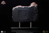 04-parque-jurasico-iii-replica-spinosaurus-eye-prop-repro-d9cc3b9ad63cae846f2c.jpg