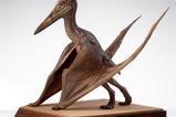 03-Parque-Jursico-III-Estatua-15-Pteranodon-Prop-Replica-61-cm.jpg