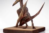 04-Parque-Jursico-III-Estatua-15-Pteranodon-Prop-Replica-61-cm.jpg