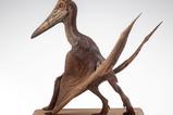 10-Parque-Jursico-III-Estatua-15-Pteranodon-Prop-Replica-61-cm.jpg