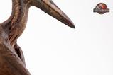 11-Parque-Jursico-III-Estatua-15-Pteranodon-Prop-Replica-61-cm.jpg