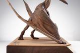 14-Parque-Jursico-III-Estatua-15-Pteranodon-Prop-Replica-61-cm.jpg
