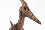 19-Parque-Jursico-III-Estatua-15-Pteranodon-Prop-Replica-61-cm.jpg