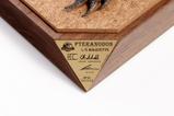 21-Parque-Jursico-III-Estatua-15-Pteranodon-Prop-Replica-61-cm.jpg