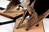 23-Parque-Jursico-III-Estatua-15-Pteranodon-Prop-Replica-61-cm.jpg