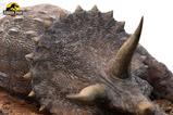 04-Parque-Jursico-Maquette-18-Sick-Triceratops-96-cm.jpg