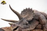 07-Parque-Jursico-Maquette-18-Sick-Triceratops-96-cm.jpg
